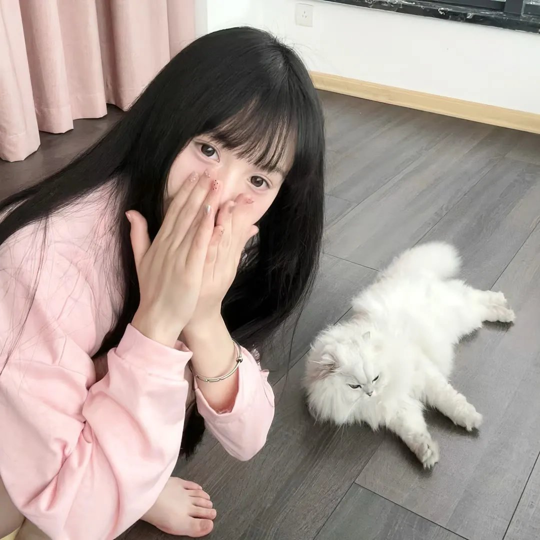 老虎与妙贼